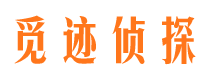 乐都市调查公司